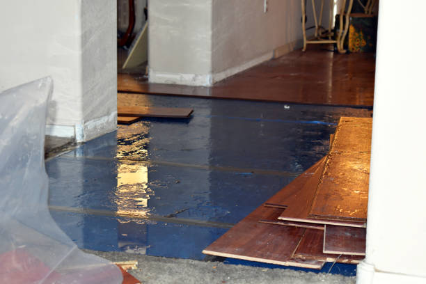 Professional Water Damage Restoration technician working in Brookings, OR